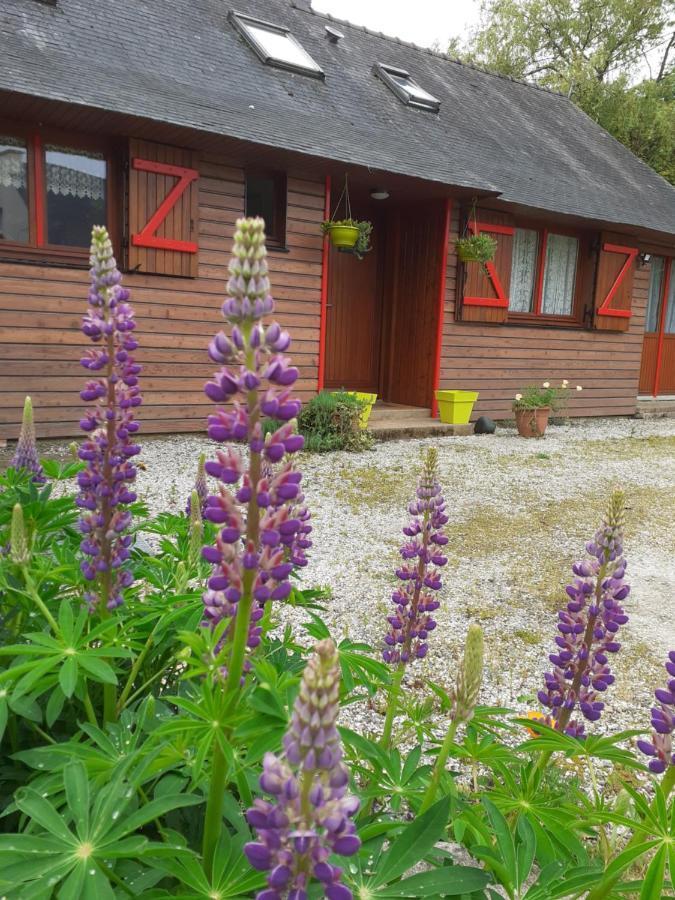 Chez Christine Bed & Breakfast Noyal-Pontivy Exterior foto